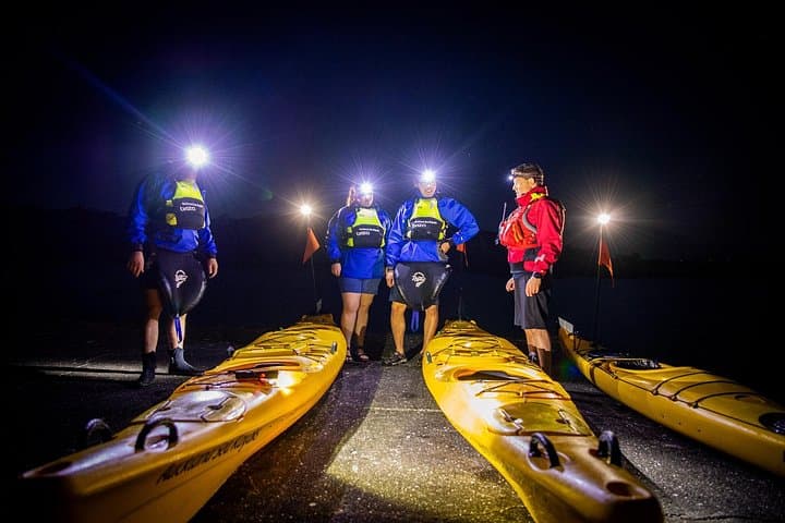 Sunset Sea Kayak to Rangitoto Island: Paddle to the Volcanic Summit & Harbour BBQ photo 4