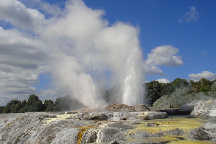 Waitomo Glowworm Caves and Te Puia Rotorua Day Tour from Auckland