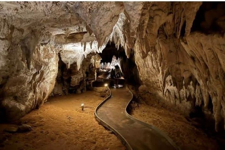 Spellbound Glowworm Caves Small-Group Tour from Auckland — Waitomo Glowworms photo 5