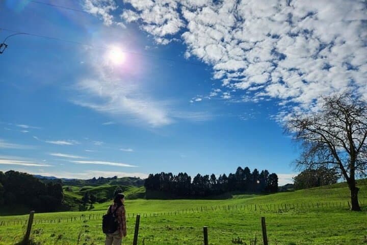 Spellbound Glowworm Caves Small-Group Tour from Auckland — Waitomo Glowworms photo 6