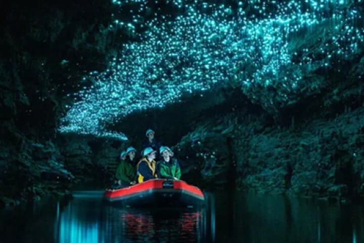 Spellbound Glowworm Caves Small-Group Tour from Auckland — Waitomo Glowworms