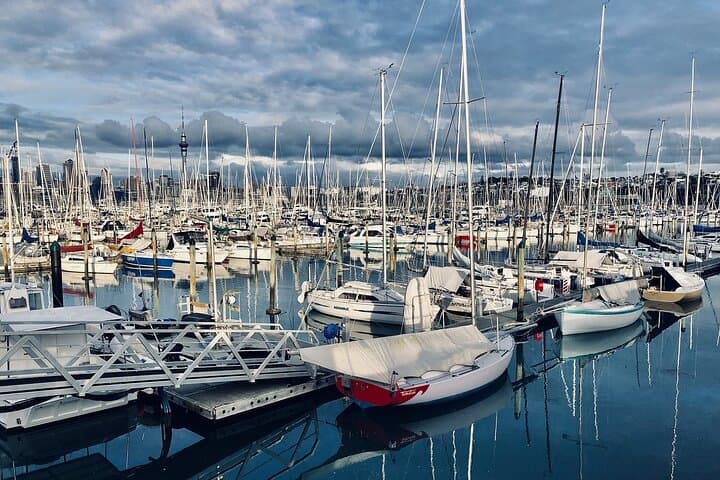Auckland Private Full-Day Attractions Tour & Museums — Best of Auckland in One Day photo 5