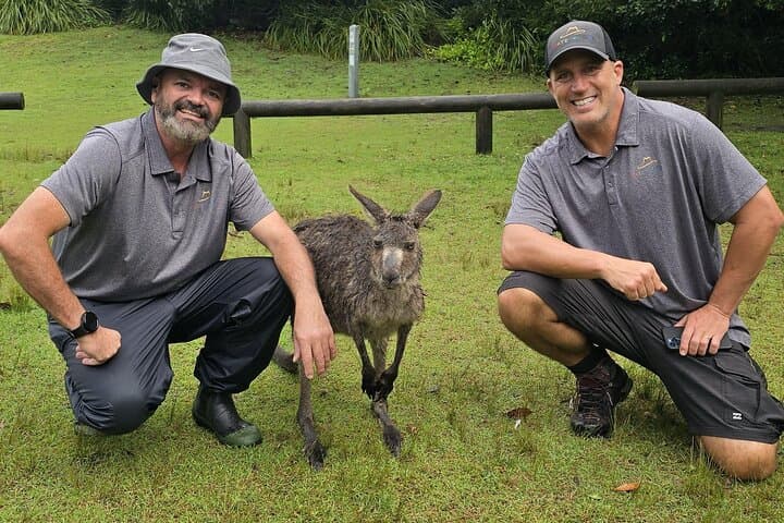 Jervis Bay Day Trip: Dolphins, Kangaroos & Hyams Beach photo 6