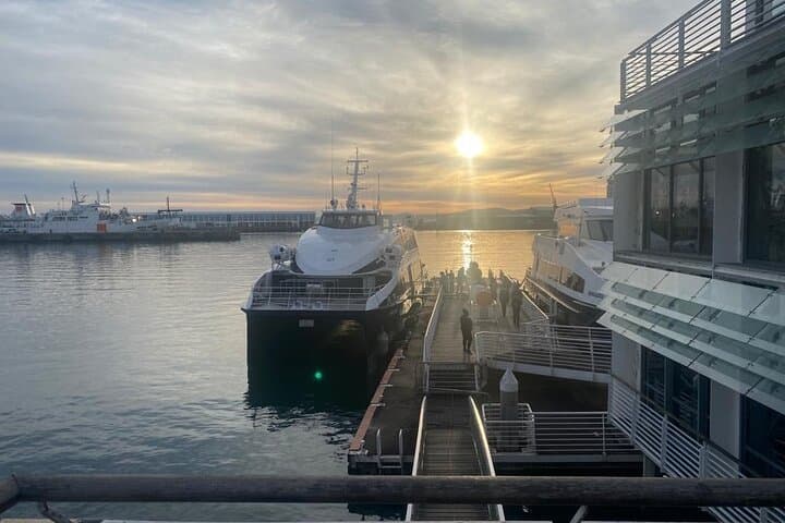 Robben Island Guided Tour from Cape Town — Ferry & Prison Visit with Hotel Pickup photo 3