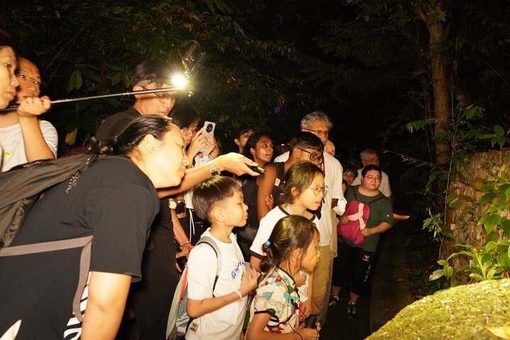 The Habitat Penang Hill: Rainforest Walks & Curtis Crest Canopy Views photo 4