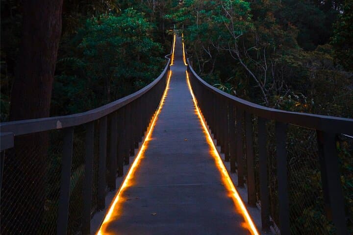 The Habitat Penang Hill: Rainforest Walks & Curtis Crest Canopy Views photo 3
