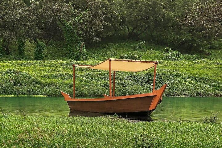 Wadi Darbat & Jabal Samhan: East Salalah Full-Day Adventure photo 4