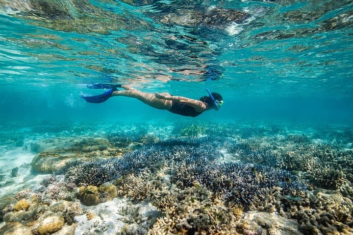 Lady Enid Whitsundays Sailing to Hook Island Ngaro Cultural Site & Snorkelling photo 3