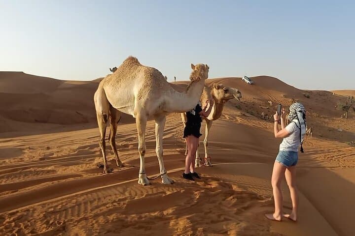 Private Morning Desert Safari Dubai — Dune Bashing, Sandboarding & Camel Ride