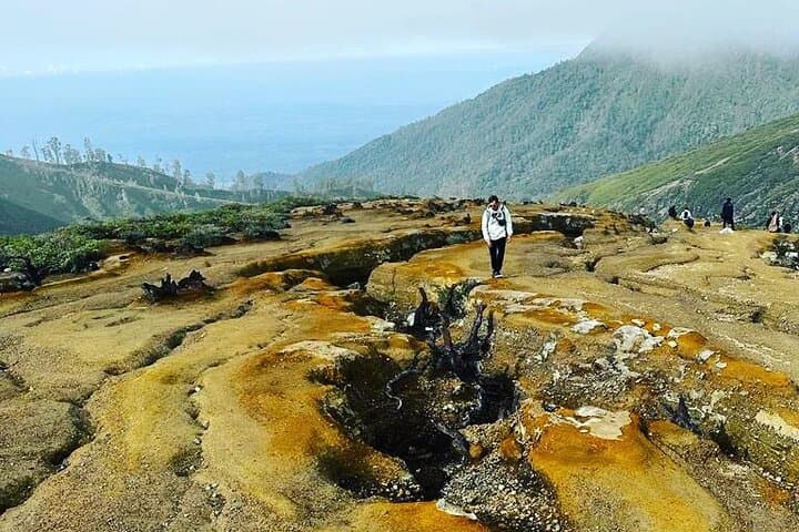 3-Day Bromo, Madakaripura & Ijen Blue Fire Tour from Bali photo 2