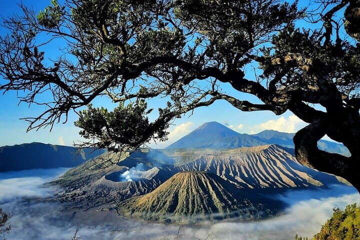 3-Day Bromo, Madakaripura & Ijen Blue Fire Tour from Bali photo 5
