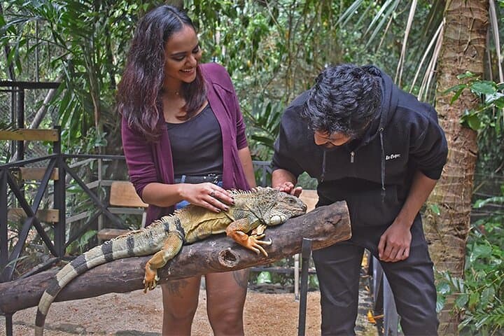 La Vanille Nature Park: Crocodiles, Giant Tortoises & the Insectarium in Mauritius photo 5