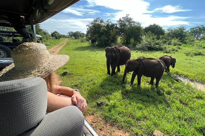 Udawalawe National Park Safari — Elephant Encounters in Southern Sri Lanka photo 1