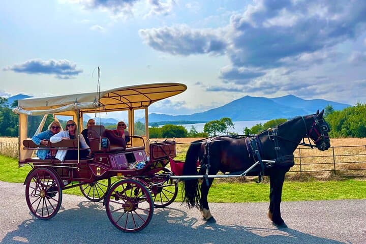 Exploring Killarney National Park by Jaunting Car: Ancient Abbeys and Lakeside Vistas