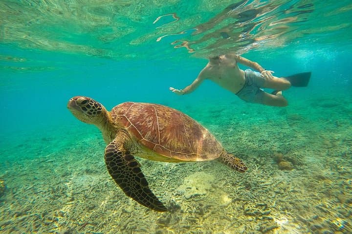 Private Snorkeling Across the 3 Gili Islands — Trawangan, Meno & Air Day Trip photo 2