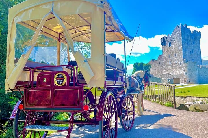 Exploring Killarney National Park by Jaunting Car: A Scenic One-Hour Ride