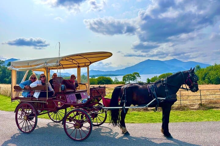 Exploring Killarney National Park by Jaunting Car: A Scenic One-Hour Ride photo 3