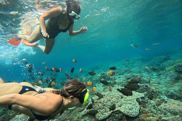 Nusa Penida Snorkeling: Manta Point, Gamat Bay & Wall Bay Day Trip from Bali photo 4