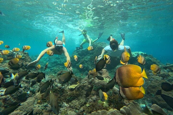 Nusa Penida Snorkeling: Manta Point, Gamat Bay & Wall Bay Day Trip from Bali photo 3
