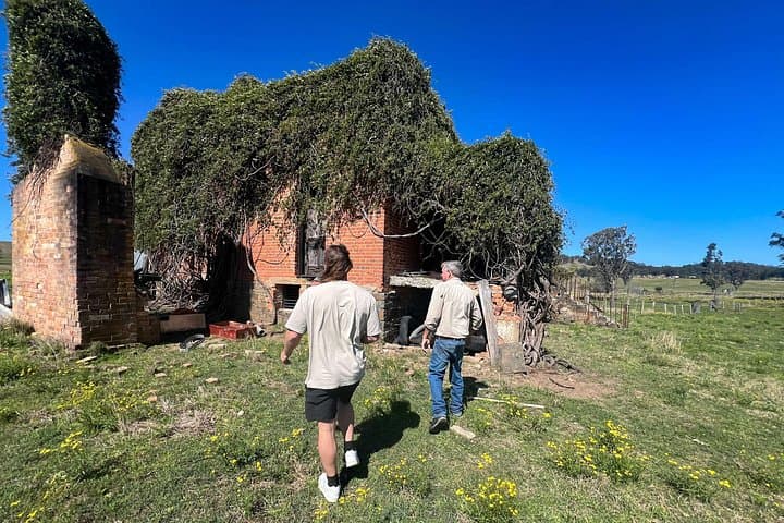 Newcastle Countryside Day Tour: Morpeth, Dungog & Allyn River Farm BBQ photo 4