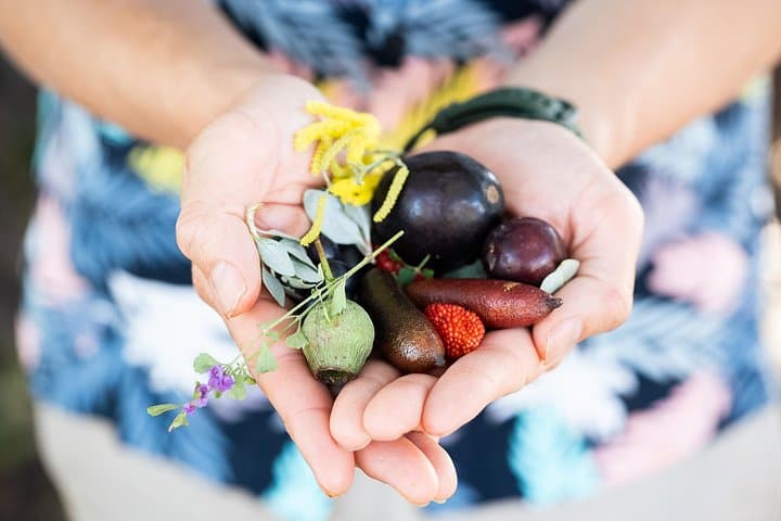 Sydney Botanic Gardens Foraging Walk & Native Picnic: A Guided Urban Food Tour photo 6