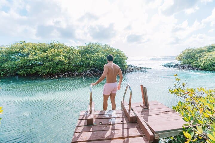 Private Full-Day Snorkel & Mangrove Island Adventure in Aruba photo 4
