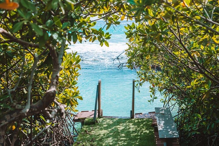 Private Full-Day Snorkel & Mangrove Island Adventure in Aruba photo 2