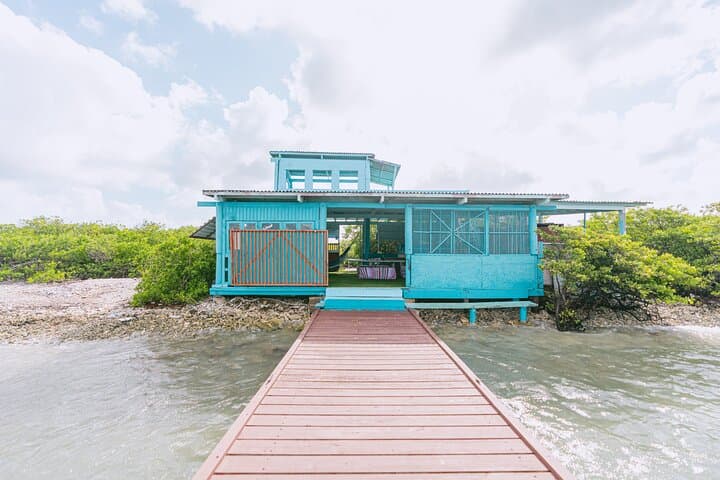 Private Half-Day Snorkel & Mangrove Experience at Mangel Halto, Aruba