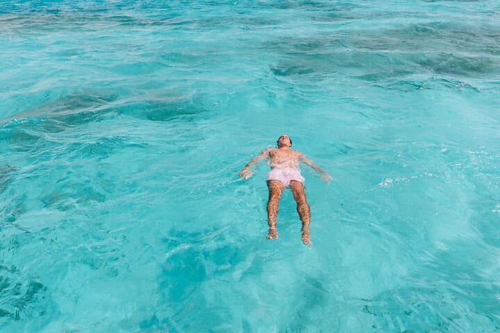 Private Full-Day Snorkel & Mangrove Island Adventure in Aruba photo 3