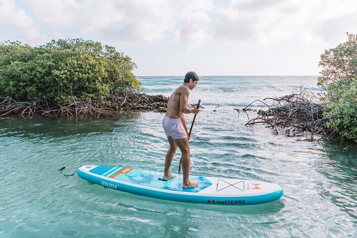 Private Half-Day Snorkel & Mangrove Experience at Mangel Halto, Aruba photo 5