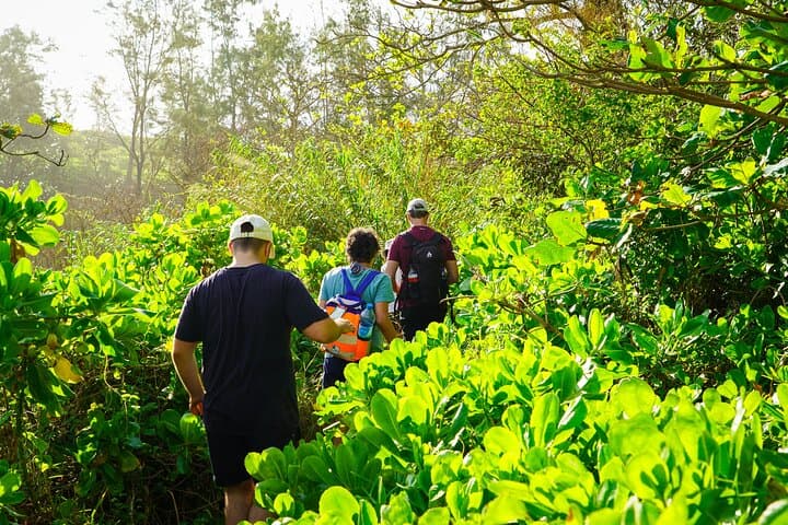 Wild South Coastal Hike & Waterfall Exploration, Gris Gris - Mauritius photo 3