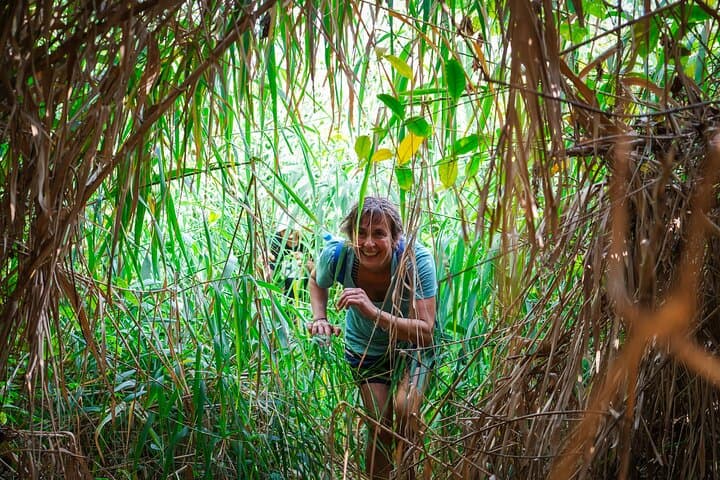 Wild South Coastal Hike & Waterfall Exploration, Gris Gris - Mauritius photo 5