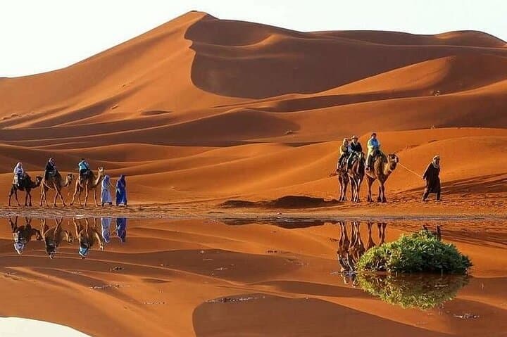 2-Day Zagora Desert Tour From Marrakech: Camel Ride & Bivouac Under the Stars