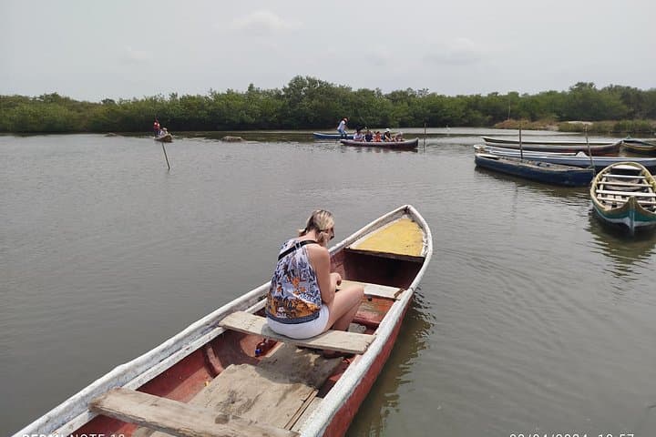 Canoe Through Cartagena's Mangroves to Fisherman's Island photo 2
