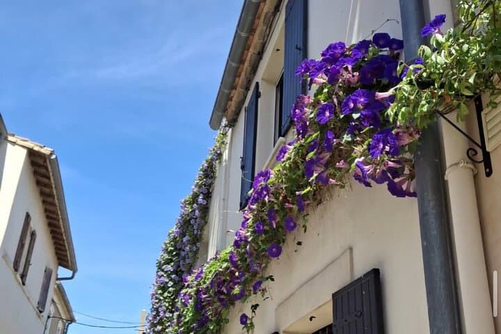 Private Camargue Guided Tour: Arles, Aigues-Mortes & Flamingos Day Trip photo 3