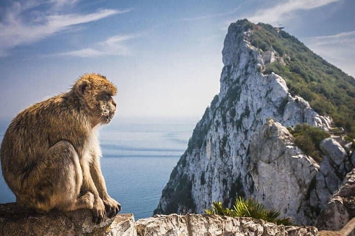 From Seville to the Rock: Guided Day Trip to Gibraltar’s Upper Rock & St. Michael’s Cave
