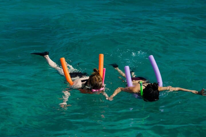 Champagne Dolphin Sail & Key West Reef Snorkel — Small-Group Catamaran Excursion photo 5