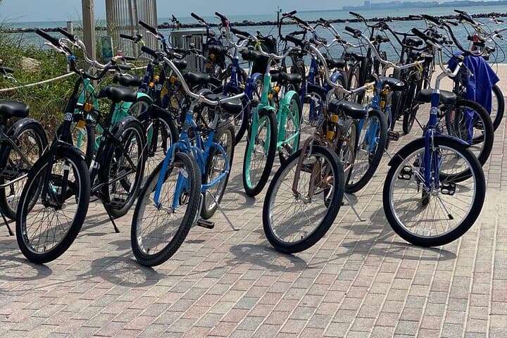Explore Miami Beach by Bike: Hourly & Daily Beach Cruiser Rentals photo 2