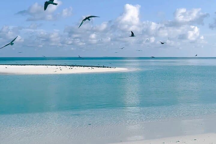 Male Atoll Sandbank & Snorkel: Affordable Maldives Day Trip