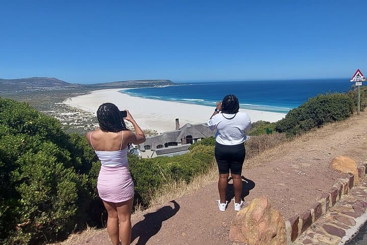 Table Mountain to Cape Point: Cape Town Scenic Drive, Penguins & History photo 6