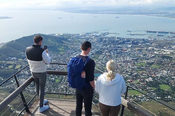 Table Mountain to Cape Point: Cape Town Scenic Drive, Penguins & History photo 5