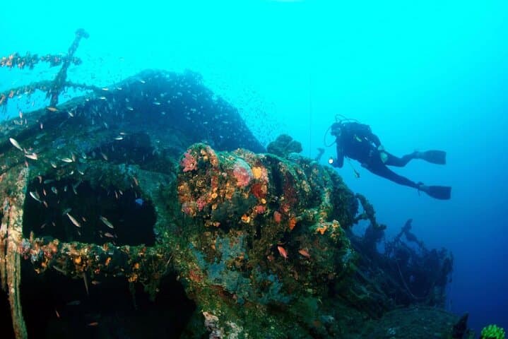Dubrovnik One-Tank Dive: Southern Adriatic Caves, Reefs & Wrecks photo 3