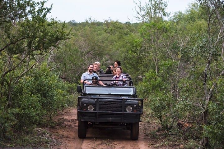 Full-Day Mkhaya Rhino Safari & Manzini Market Experience