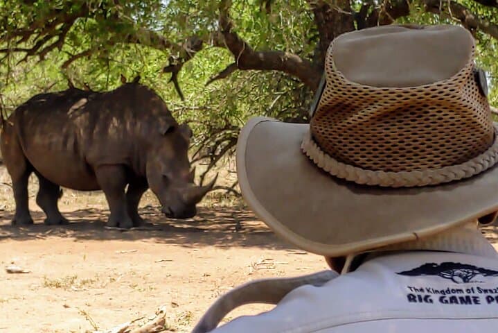 Full-Day Mkhaya Rhino Safari & Manzini Market Experience photo 3
