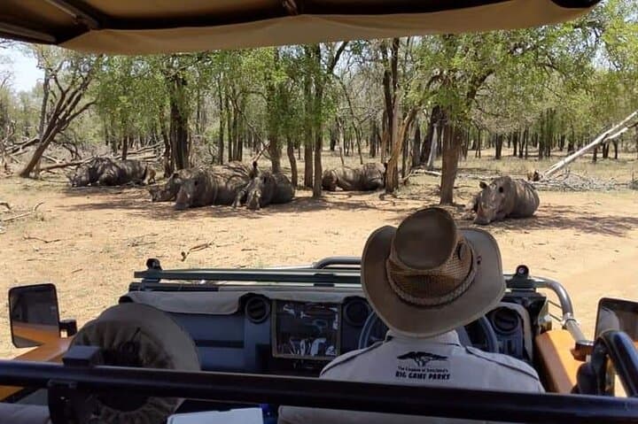 Full-Day Mkhaya Rhino Safari & Manzini Market Experience photo 4
