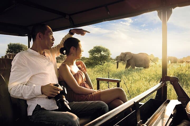 3-Day Kruger & Tremisana Big 5 Safari from Johannesburg