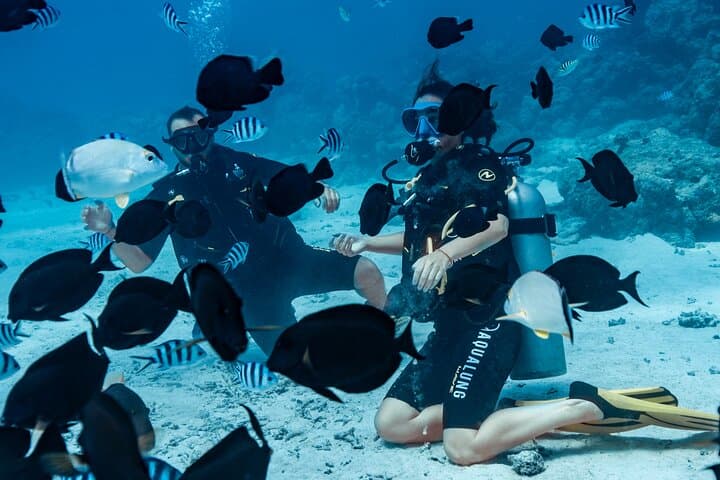 Tahiti Scuba Baptism: Beginner Diving in Turquoise Waters photo 6