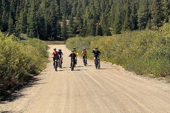 E-Bike the Trail of the Silver Kings: 3-Hour Leadville Old Mine Tour