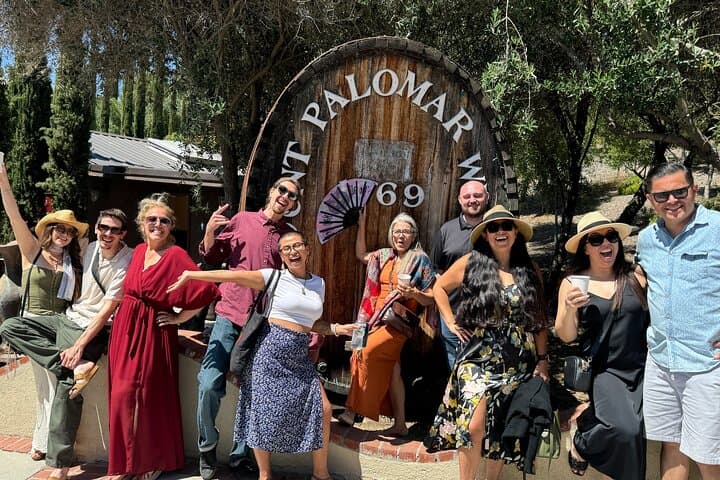 Late Morning Temecula Wine Tour: Tastings & Personal Charcuterie