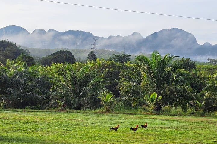 Full-Day Rafting, ATV & Zipline in Ton Pariwat — Phuket Adventure photo 5